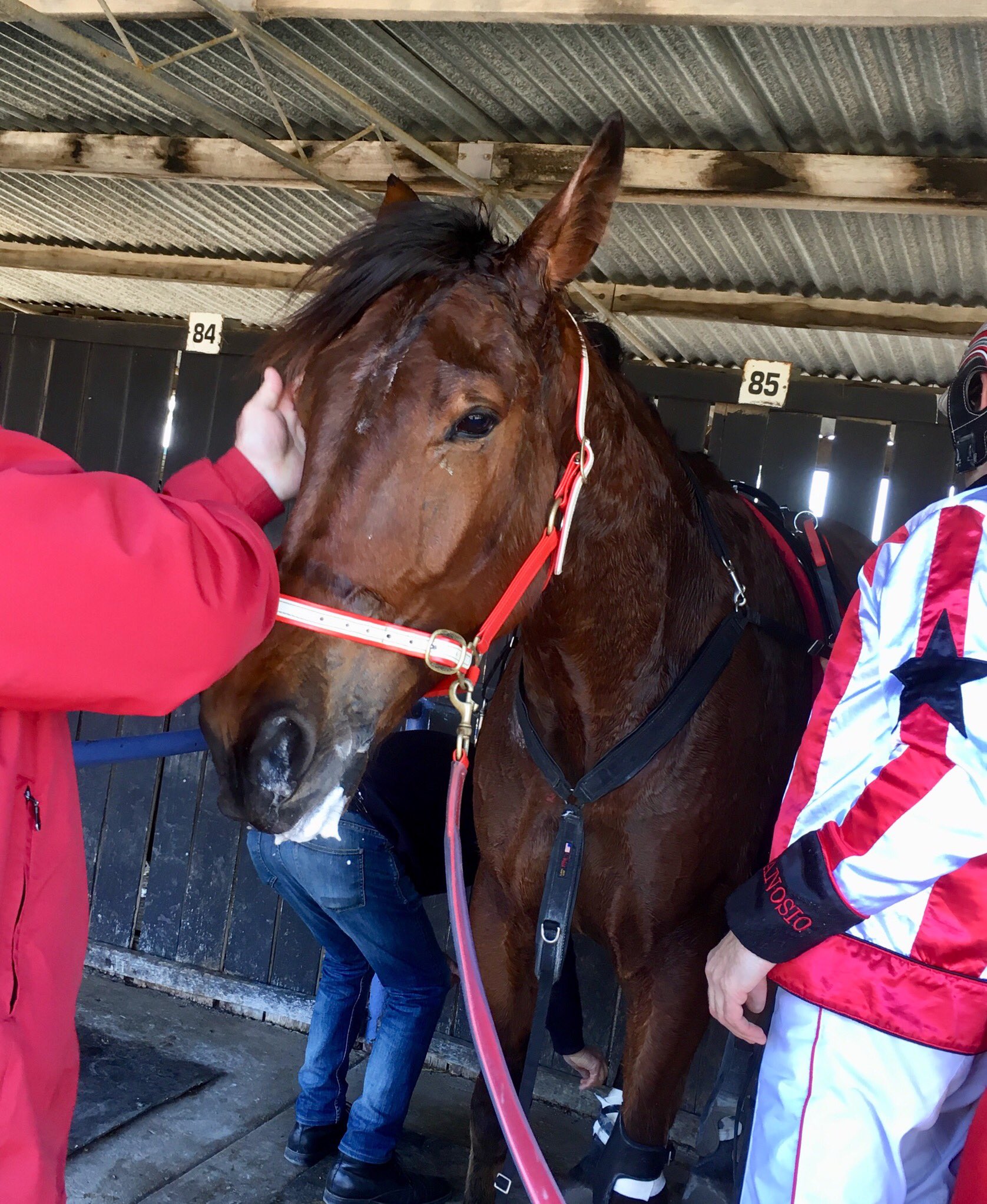 Recap Humbletonian Day 2019 at Maryborough Harness Racing Victoria